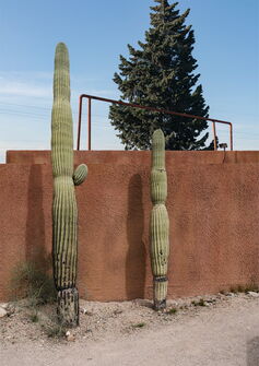 Archival Pigment Print