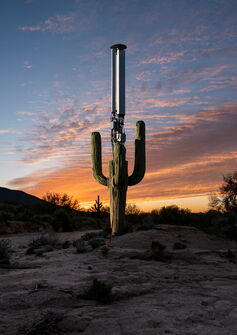 Archival Pigment Print
